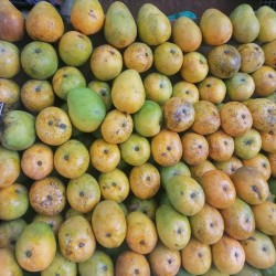 Mangoes-Takataka Mangoes per 4Pcs