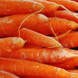 Carrot per Sack