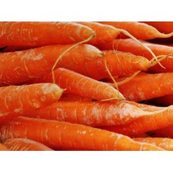 Carrot per Sack