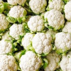 Cauliflower per 1Pcs-Big