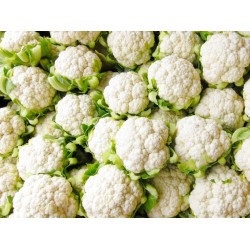 Cauliflower per 1Pcs-Big