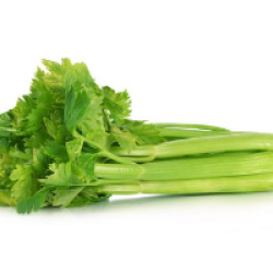 Celery per 1Pcs