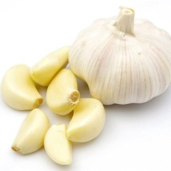 Garlic-Chinese Garlic  per 1kg