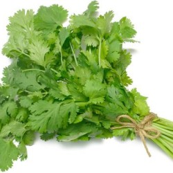 Coriander(Cot mill/Dania) per Bunch