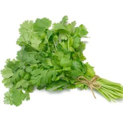 Coriander(Cot mill/Dania) per Bunch