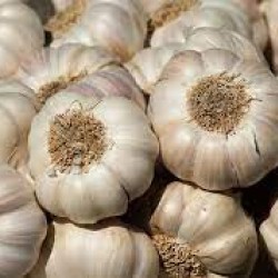 Garlic-Local per Kg