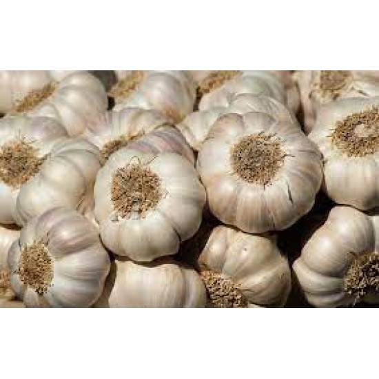 Garlic-Local per Kg