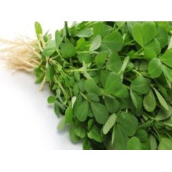 Methi Leaves  per bundle