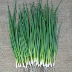 Onion Leaf per Bundle