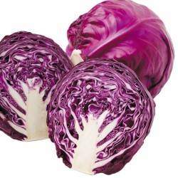 Cabbage-Red cabbage per 1Pcs