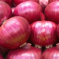 Onions - Red onions  per 1kg