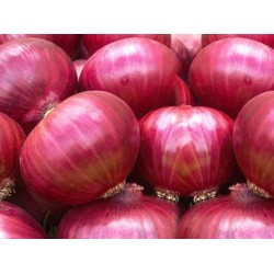 Onions - Red onions  per 1kg