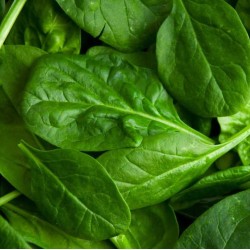 Spinach per Bundle