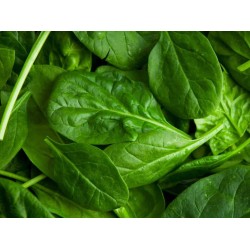 Spinach per Bundle