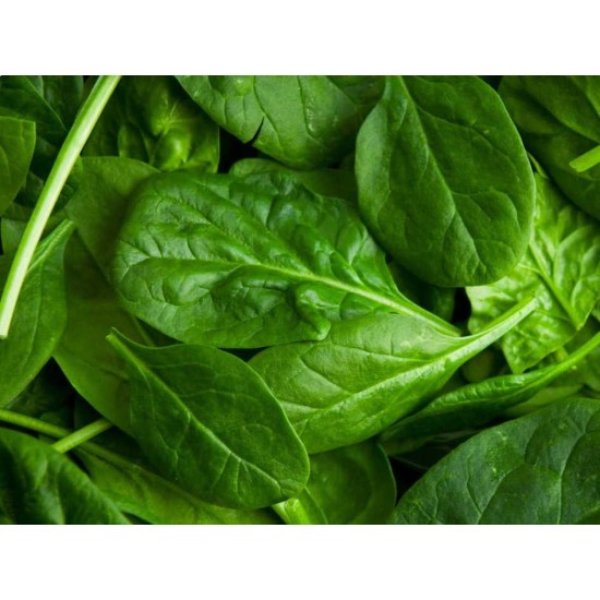 Spinach per Bundle