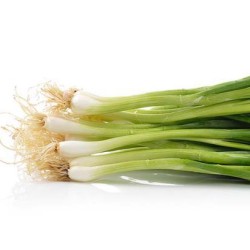 Onions-Spring onions per Bundle