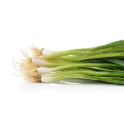 Onions-Spring onions per Bundle