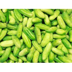 Tindora -1kg