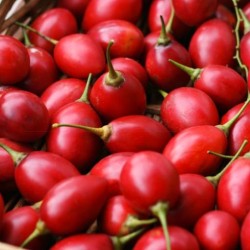 Tree Tomato per Kg