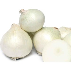 Onions-Big White onions per 1kg