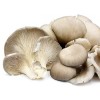 Mushrooms -Small per packet