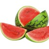 Watermelon-Medium Zebra Watermelon 1Pcs