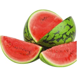 Watermelon-Large Zebra Watermelon  1pcs 